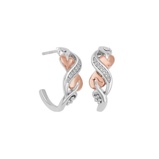 925 Silver Life Loop Earrings